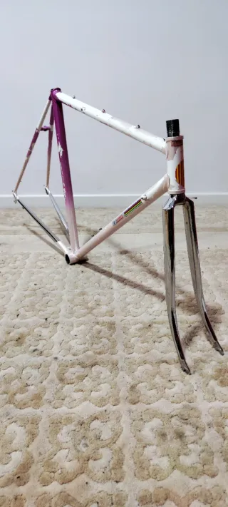 Cuadro de bicicleta Llorens