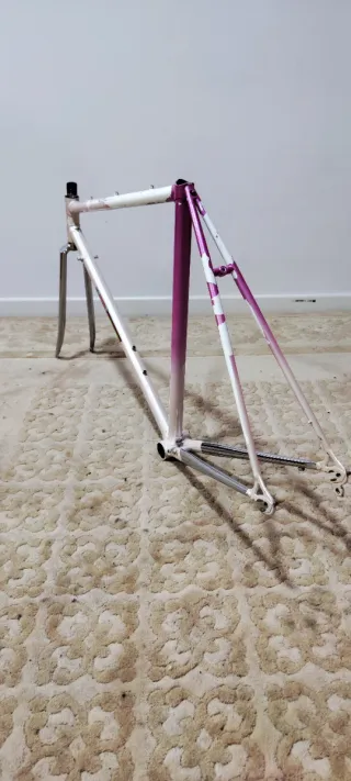 Cuadro de bicicleta Llorens