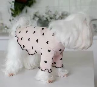 Ropa para perro pequeño