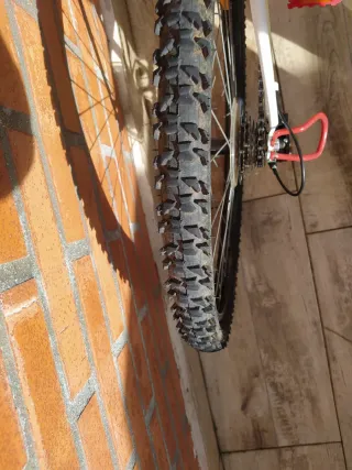 Bicicleta Infantil Rockrider 300 B'Twin