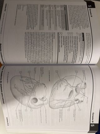 NUEVO SIN USAR Netter Cuaderno de anatomía para co