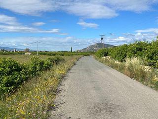 Parcela rustica 3100 m2 con agua trasvase librilla