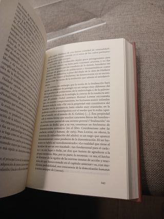 El Collar del neandertal