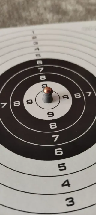 Lote tiro aire comprimido Gamo