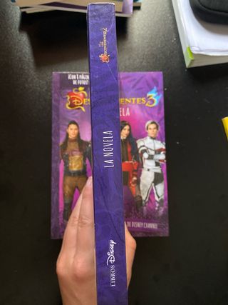 Los Descendientes 2 y 3. La novela: Narrativa