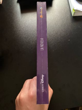 Los Descendientes 2 y 3. La novela: Narrativa