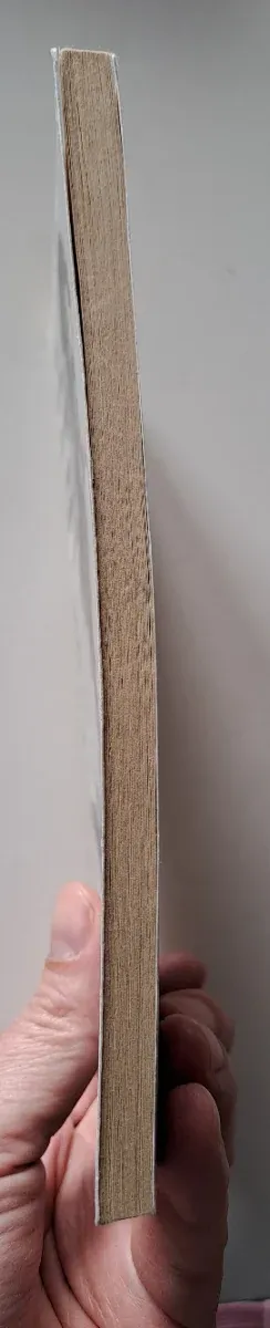 El Extranjero (Spanish Edition)