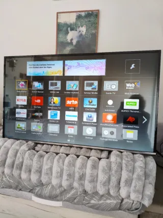 Televisor LED IPS 48.5 Full HD