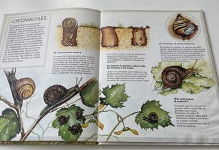 Libro. Los animales del campo. Susaeta