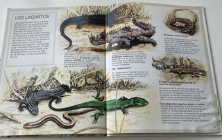 Libro. Los animales del campo. Susaeta