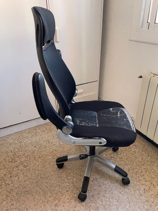 Silla de Oficina Ergonómica Negra y Plateada