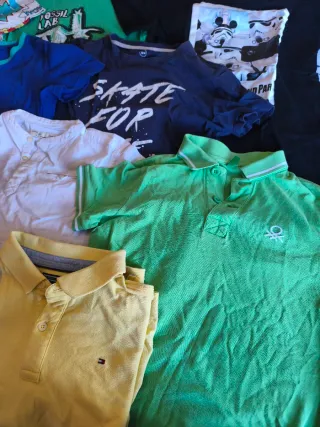 Lote Camisetas y Polos Chico