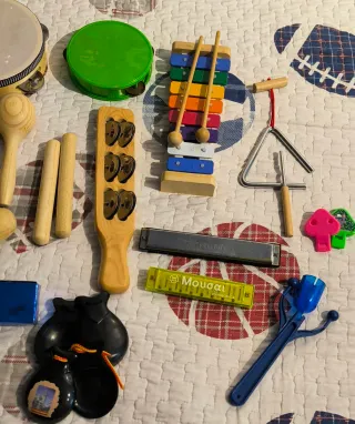 Lote instrumentos musicales