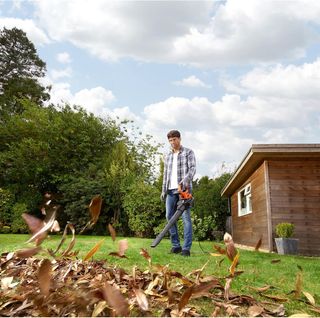 BLACK+DECKER BEBLV301 Aspiradora Eléctrica 3-en-1