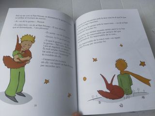 Descobrir El petit princep