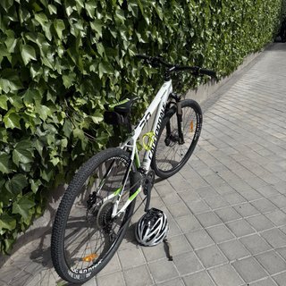Cannondale Trail4