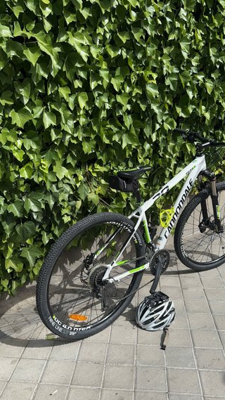 Cannondale Trail4
