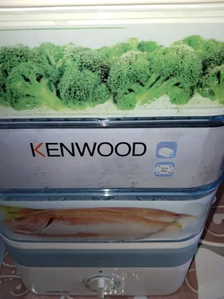 Vaporiera Kenwood nuova