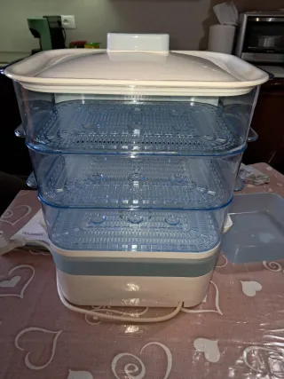 Vaporiera Kenwood nuova