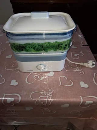 Vaporiera Kenwood nuova