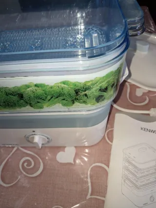 Vaporiera Kenwood nuova