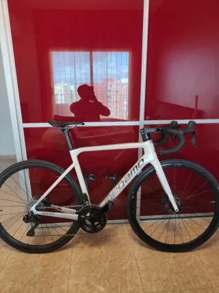 Megamo Pulse Elite 2023