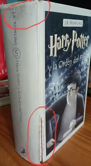 Harry Potter Y La Piedra Filosofal