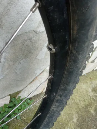 Bicicleta Freeride Proyecto