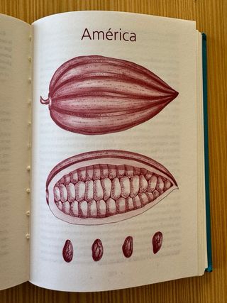 3000 Años de Cocina Española