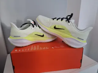 T44 Nike Air Zoom Pegasus 41
