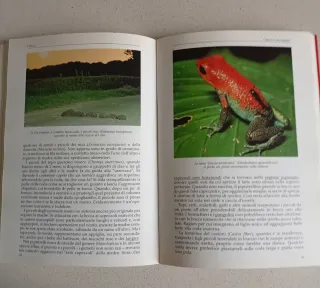 Il grande libro del cavallo. Storia, anatomia, ...