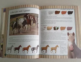 Il grande libro del cavallo. Storia, anatomia, ...