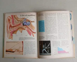 Il grande libro del cavallo. Storia, anatomia, ...