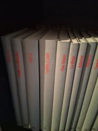 Colección guías de España