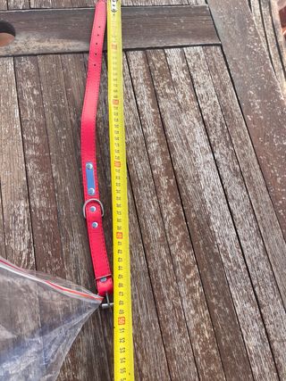 3 Collares para Perro Nuevos con placa