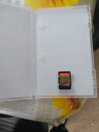 Minecraft Nintendo Switch