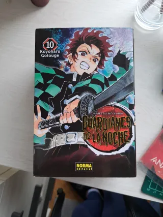 Guardianes De La Noche 10