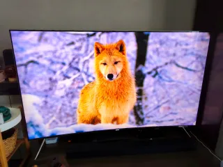 TV Samsung SmartTV Curva 55