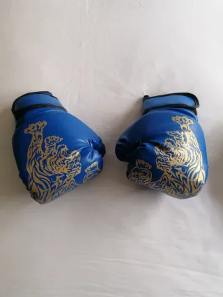 Guantes Boxeo Niñ@s y almohadilla de mano