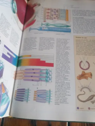 Como Funciona la Naturaleza.