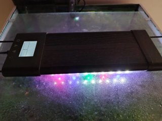 Acuario Eheim Cúbico 64L Completo