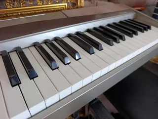 Casio Privia PX-100 Piano Digital