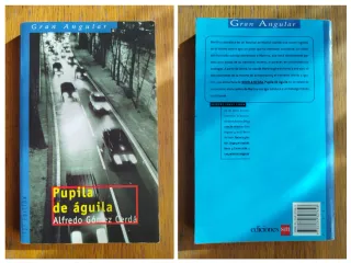 Llibres novel·la negra a 4€