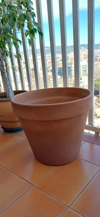 Jardinera de hormigón y maceta de terracota