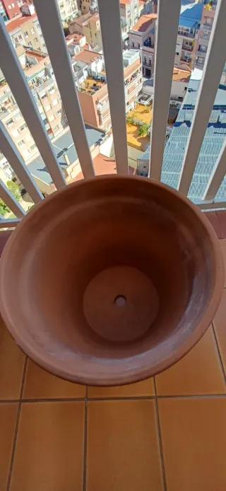 Jardinera de hormigón y maceta de terracota