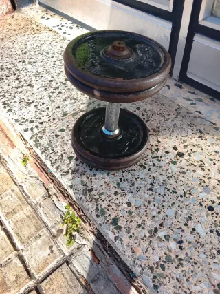 Mancuerna 10 kg Domyos