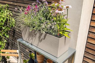 LECHUZA Balconera Stone 50 y Beige 15651