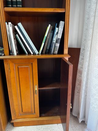 Librería de madera con puertas en parte baja