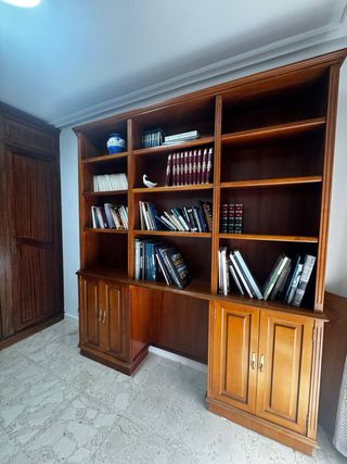 Librería de madera con puertas en parte baja