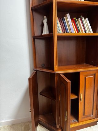 Librería de madera con puertas en parte baja